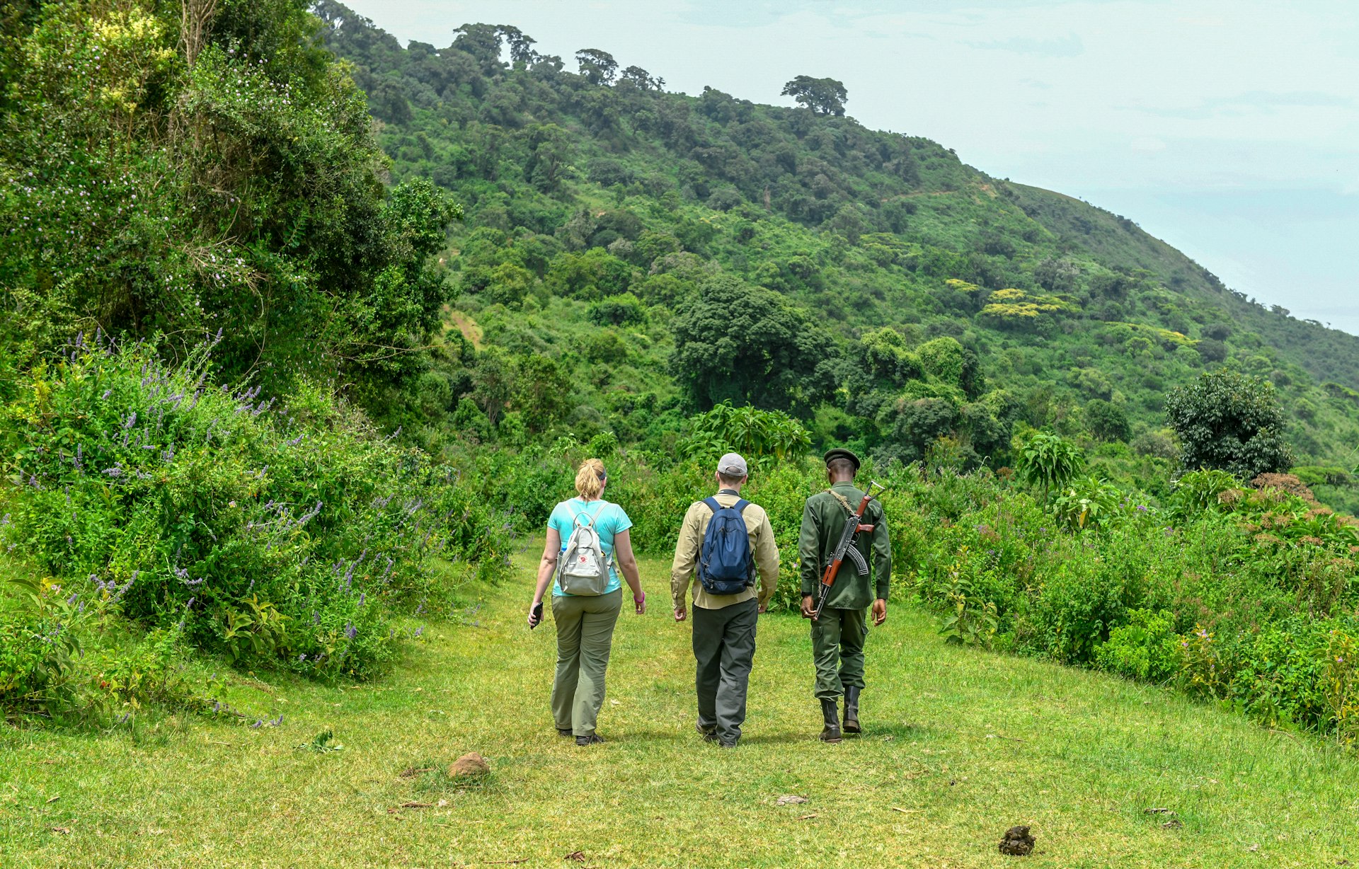 a group of people walking up a hill